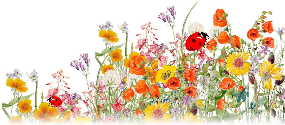 bottomFlowers